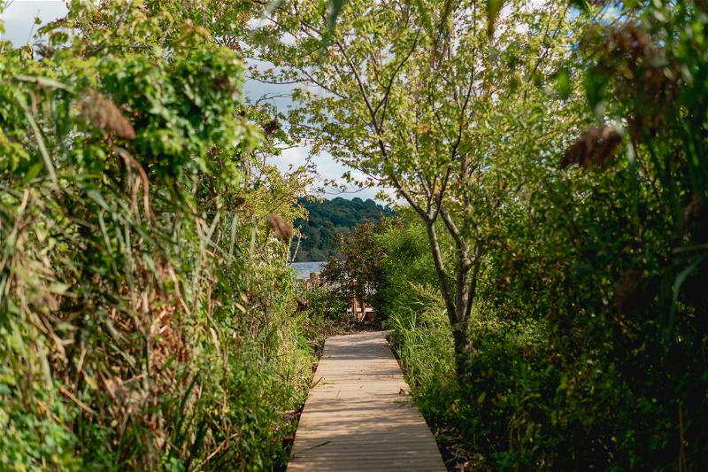 Wooden boardwalk walking path with green trees and shrubs on either side, leading to the Hudson River