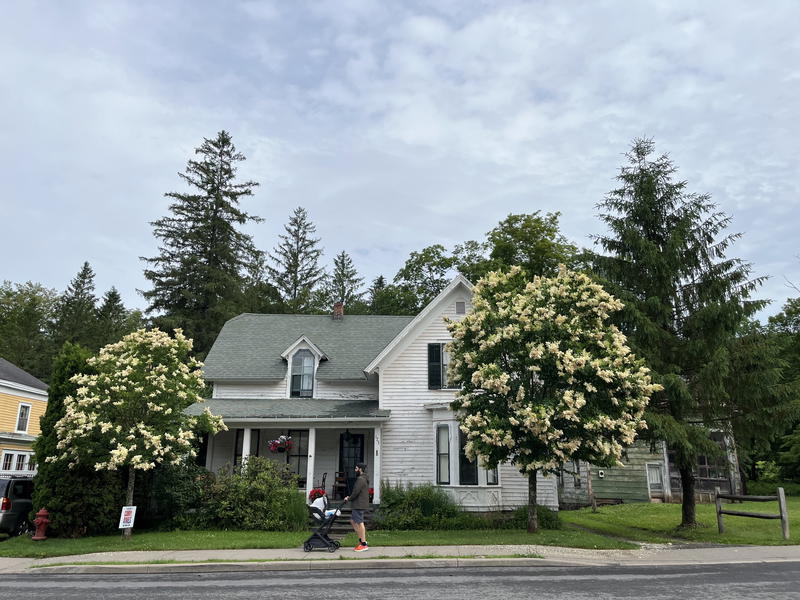 A man walking with a baby stroller in Andes NY in the Catskills