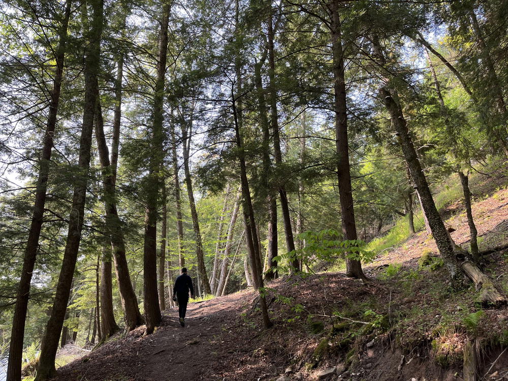 The hiking trails at Antrim Streamside in Livingston Manor