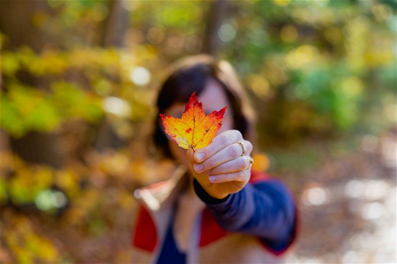 A woman is holding up a leaf in the woods of New York.