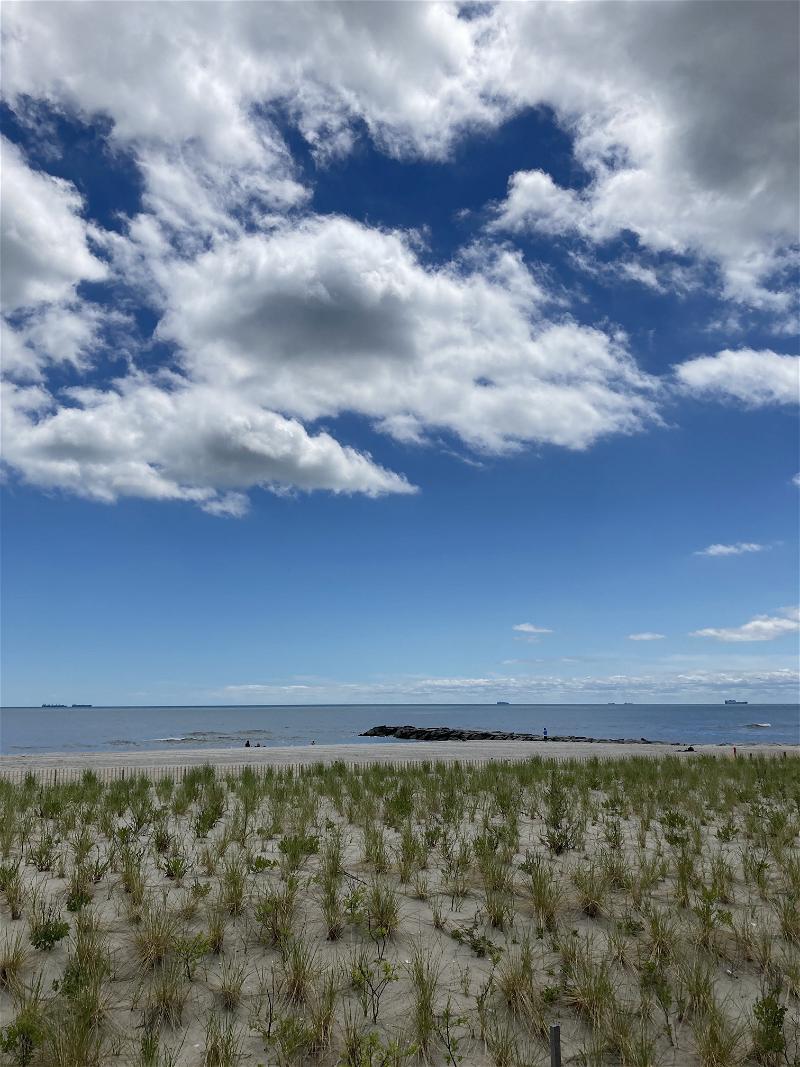 A beach in NYC with grass and clouds under a blue sky.