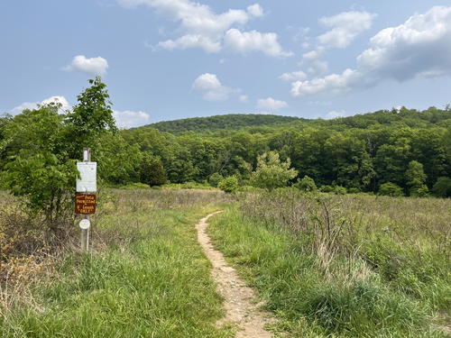 A grassy field in NYC with a trail and sign.