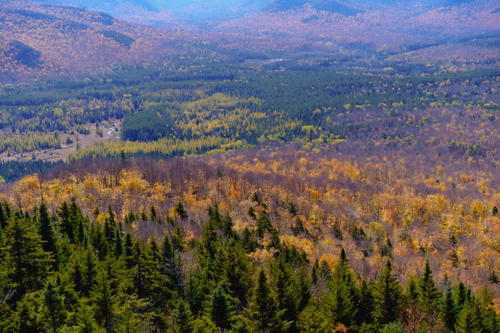 A view of the Adirondack Mountains and trees in the fall.