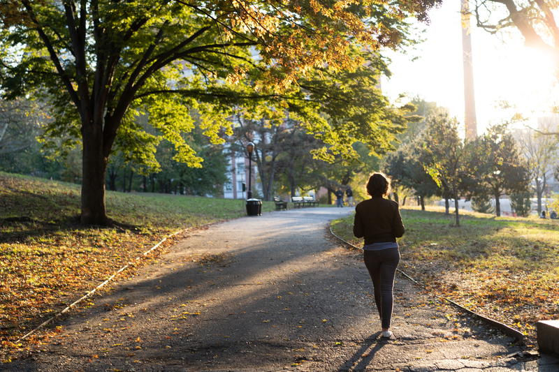 Figure of a girl walking along a paved path in Fort Greene Park in Brooklyn, New York