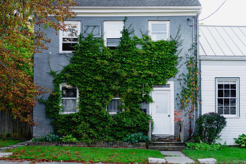 A Hudson house covered in ivy.