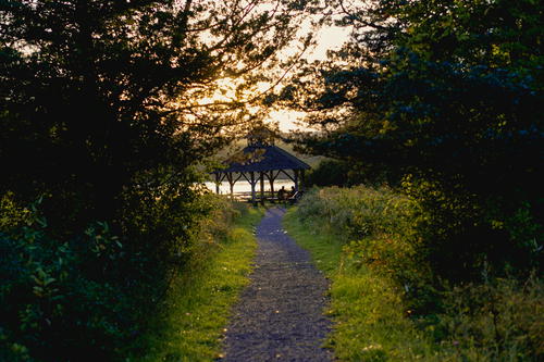 A path leading to a gazebo in the Hudson Valley woods.