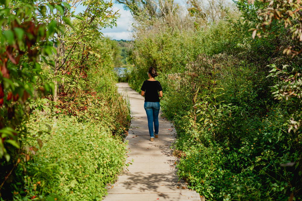 Expansions to the Hudson Valley Rail Trail System, Outdoors, Hudson  Valley