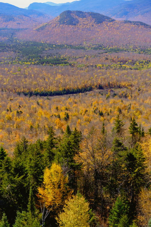 A view of the fall foliage in the mountains near Lake Placid, New York.