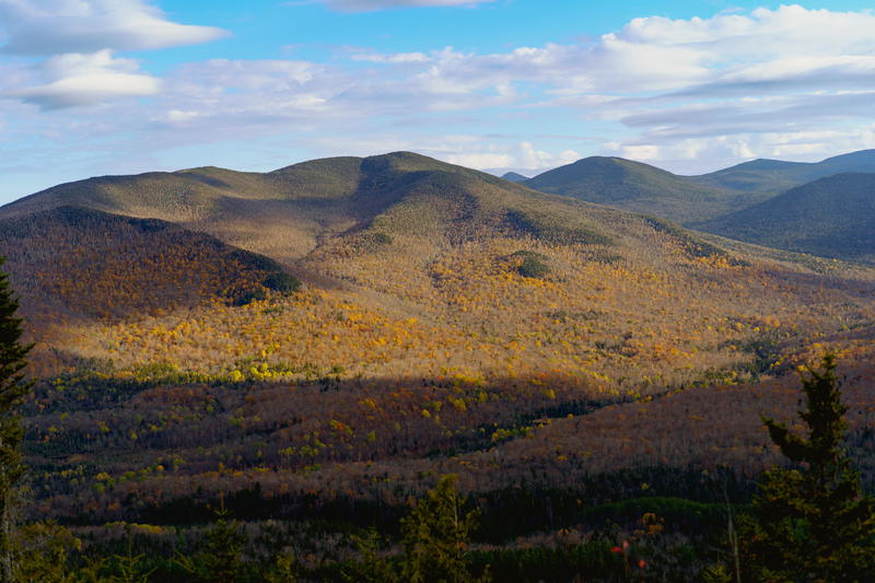 A view of the Lake Placid mountain range with trees in the foreground.