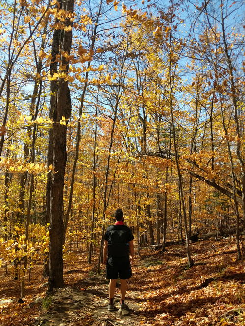 A man strolling through a wooded area near Lake Placid in New York.