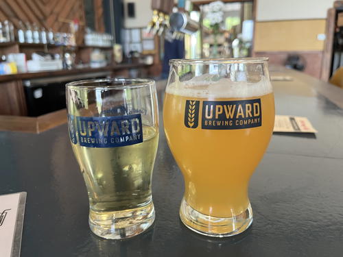 Two glasses of beer next to each other on a bar in Livingston Manor, New York.