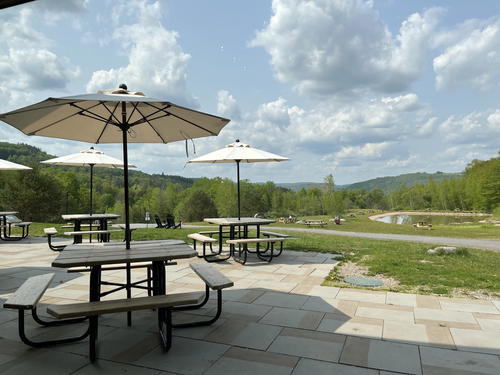 A picnic area in Livingston Manor with tables and umbrellas overlooking a field.