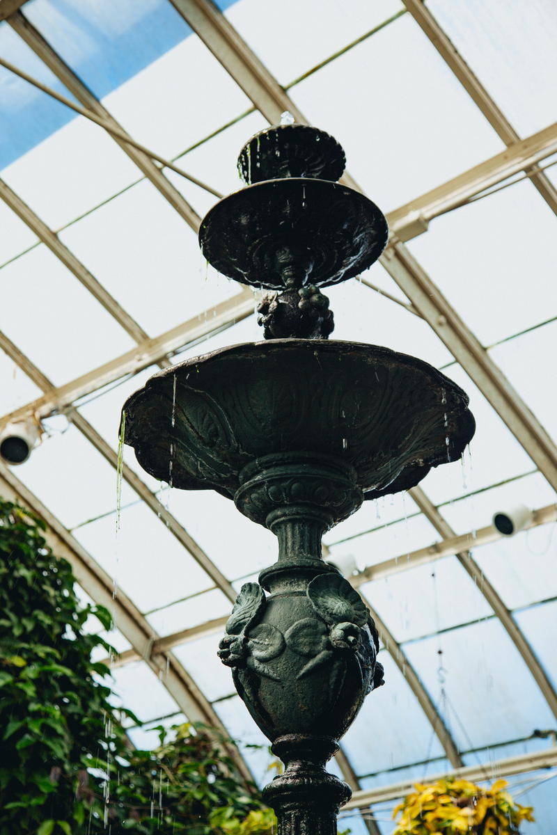 A water fountain in the New York Botanical Garden.