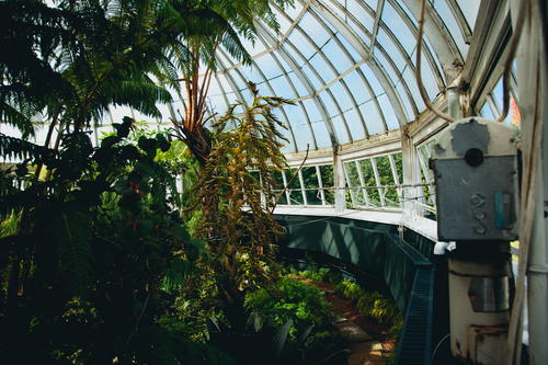 A large greenhouse filled with numerous plants located at the New York Botanical Garden in NYC.