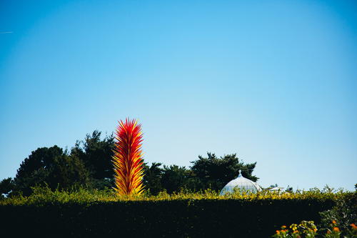 A Chihuly glass sculpture in the New York Botanical Garden.