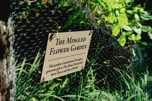 A sign on a fence at Olana State Historic Site showcasing the miracle flower garden.