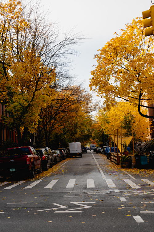 A Brooklyn street with yellow leaves.