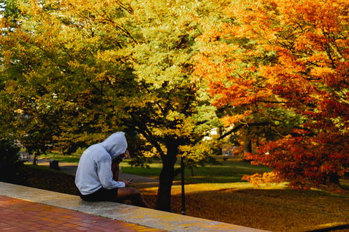 A person sitting on a ledge in Fort Greene Park, Brooklyn.