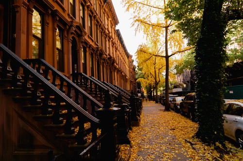 A Brooklyn street lined with brown buildings and yellow leaves.
