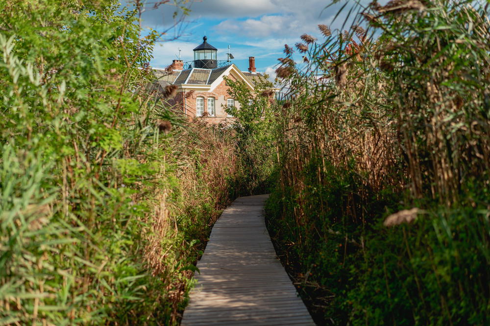 A wooden walkway leads to a house in the middle of tall reeds in Saugerties, New York.