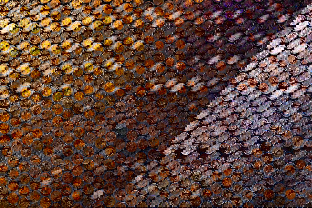 Pennies covering a wall