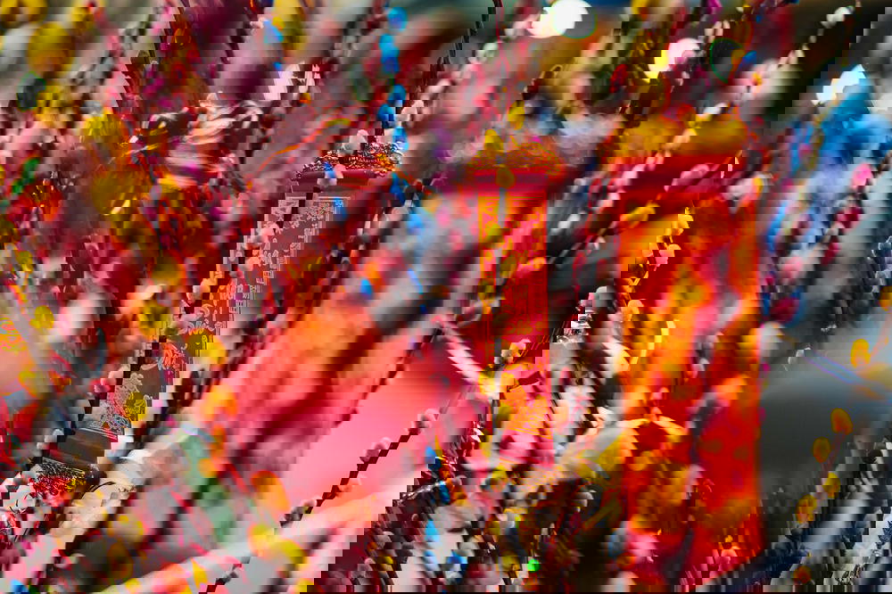 Vietnamese lunar new year decorations