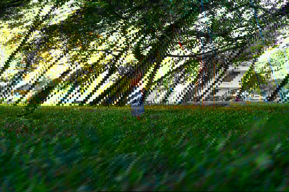 A woman is flying a frisbee in a park in Hanoi.