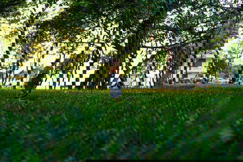 A woman is flying a frisbee in a park in Hanoi.
