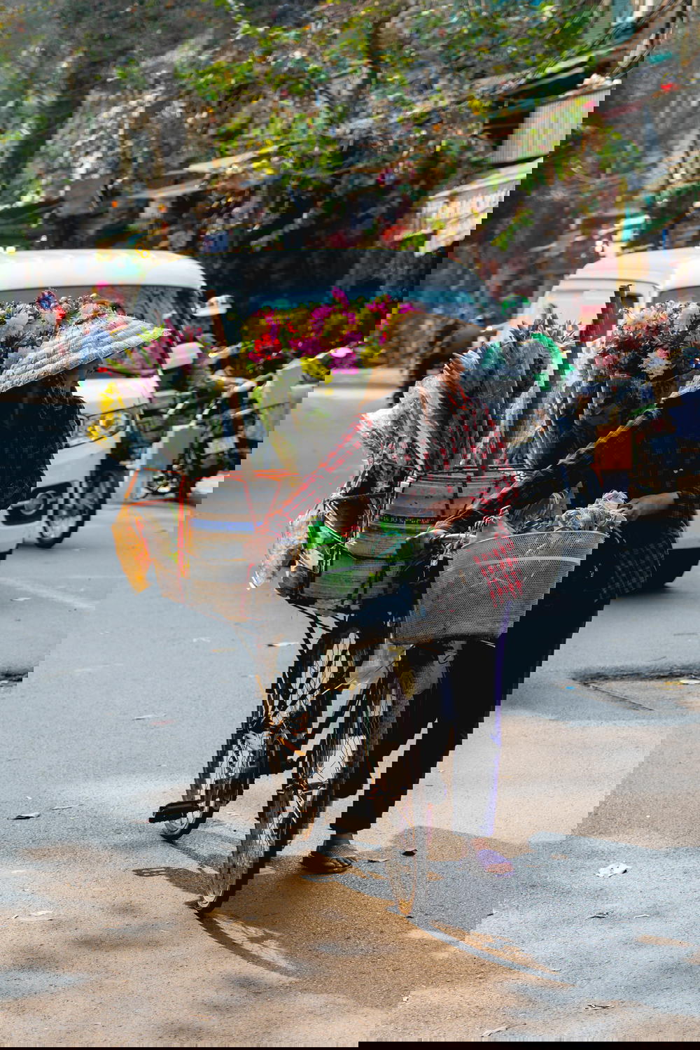 A woman from Hanoi, Vietnam cycling with a basket of flowers.