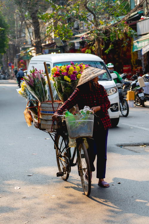 A woman from Hanoi, Vietnam cycling with a basket of flowers.