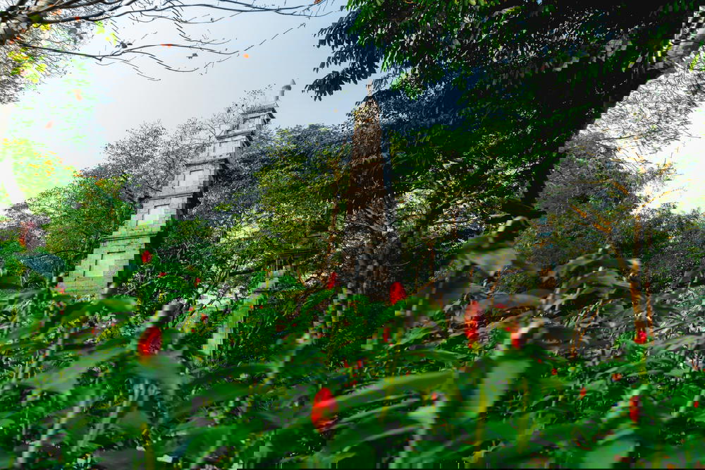 Stone pagoda at Hoan Kiem Lake Hanoi Vietnam places to visit