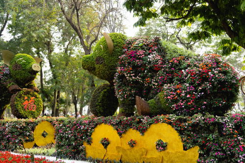A large group of flowers in a garden in Hanoi, Vietnam.