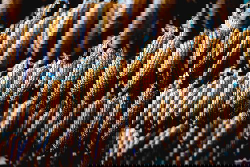 Vibrant market in Vietnam's Sapa Trek with corn on the cob hanging.