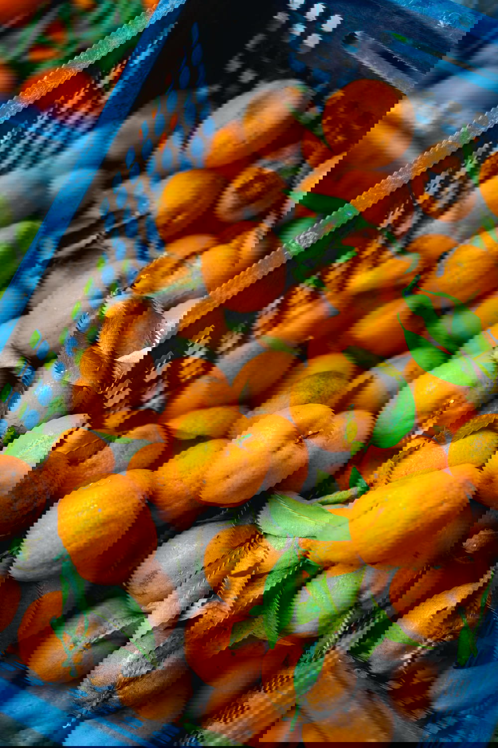Close up of oranges in a basket