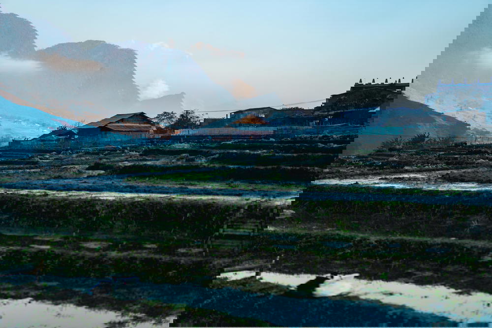 Rice paddy fields in the picturesque valley of Sapa, Vietnam, framed by majestic mountains.