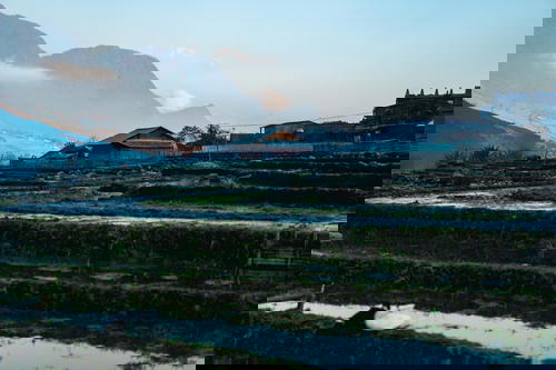 Rice paddy fields in the picturesque valley of Sapa, Vietnam, framed by majestic mountains.