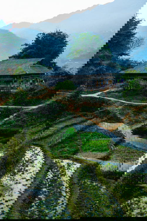 A Vietnam house nestled alongside a stunning rice field in Sapa Trek.