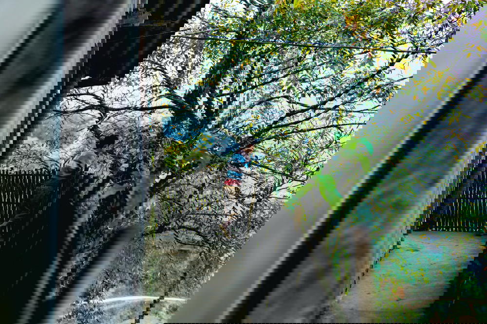 A person is standing on a wooden railing in Sapa, Vietnam.