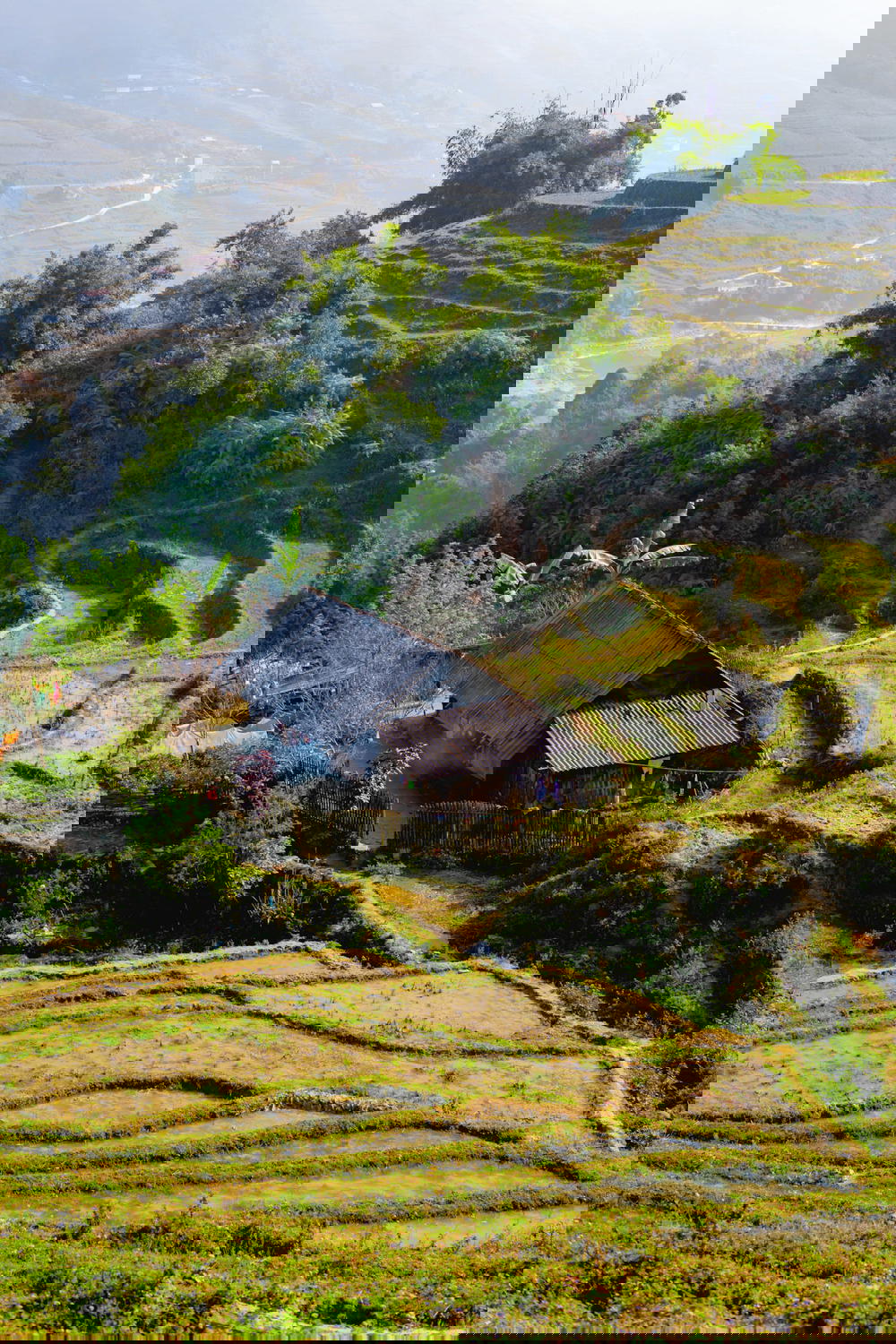 Sapa's mesmerizing rice terraces in Vietnam.