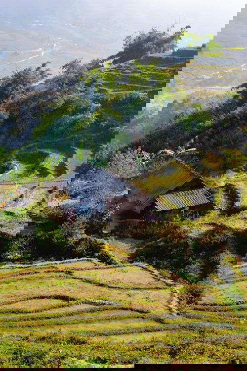 Sapa's mesmerizing rice terraces in Vietnam.