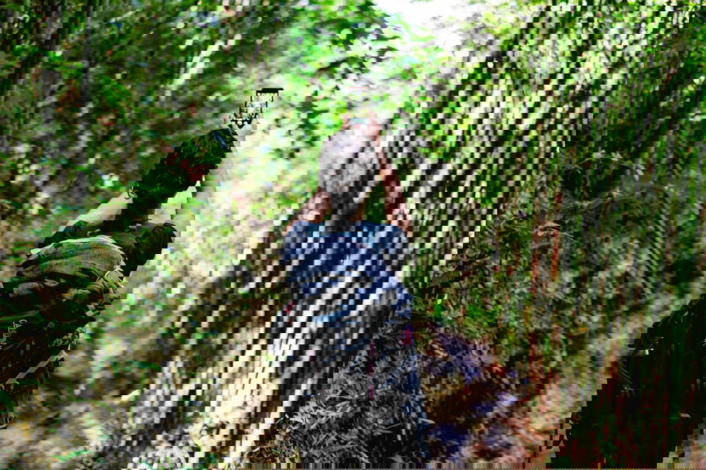 Woman taking photo in bamboo forest in Sapa