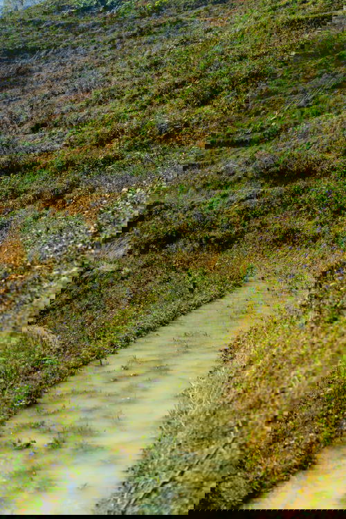 A small stream flowing through a hillside in Sapa, Vietnam.