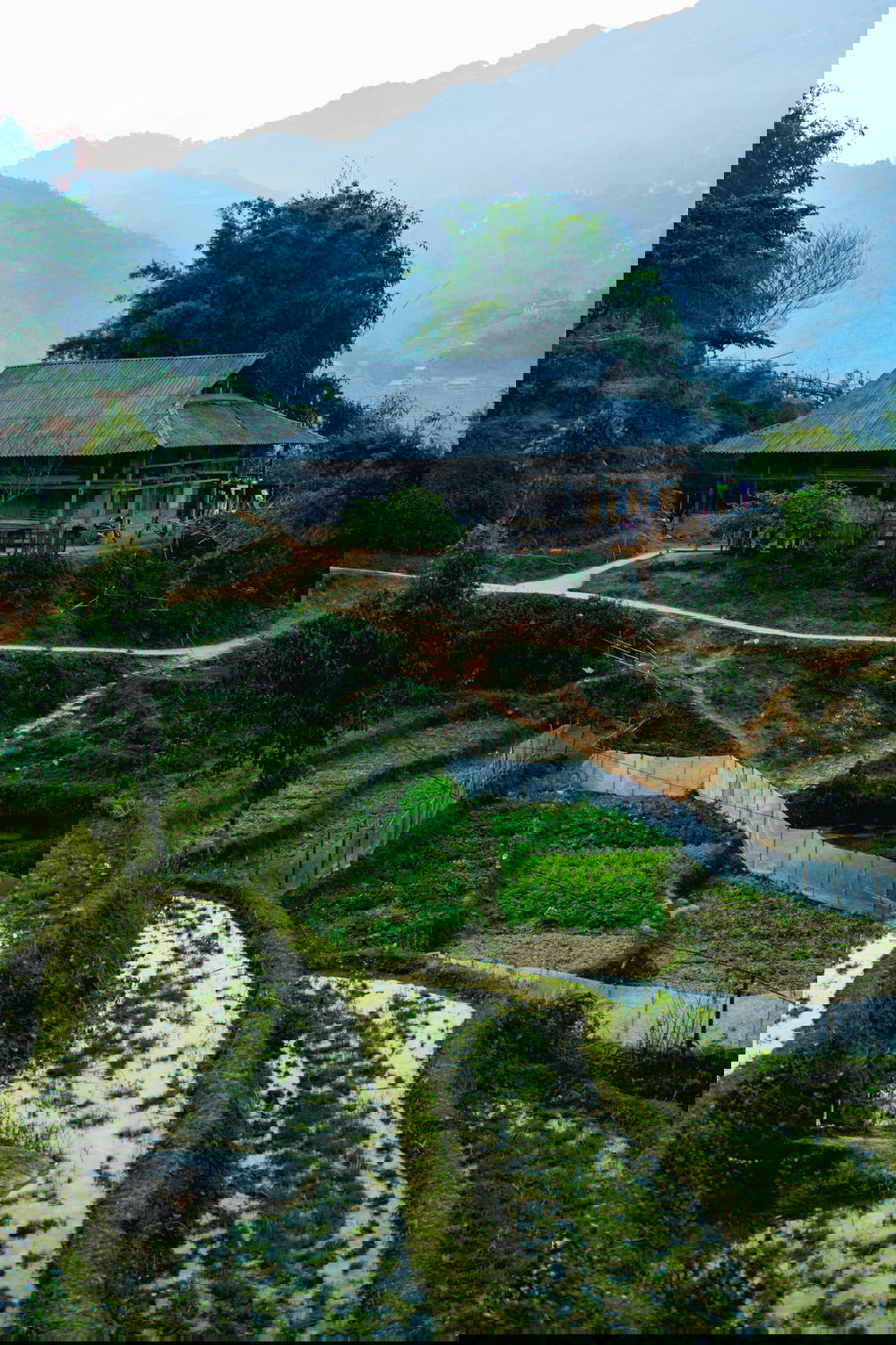 Terraced rice fields in a village near Sapa in Vietnam