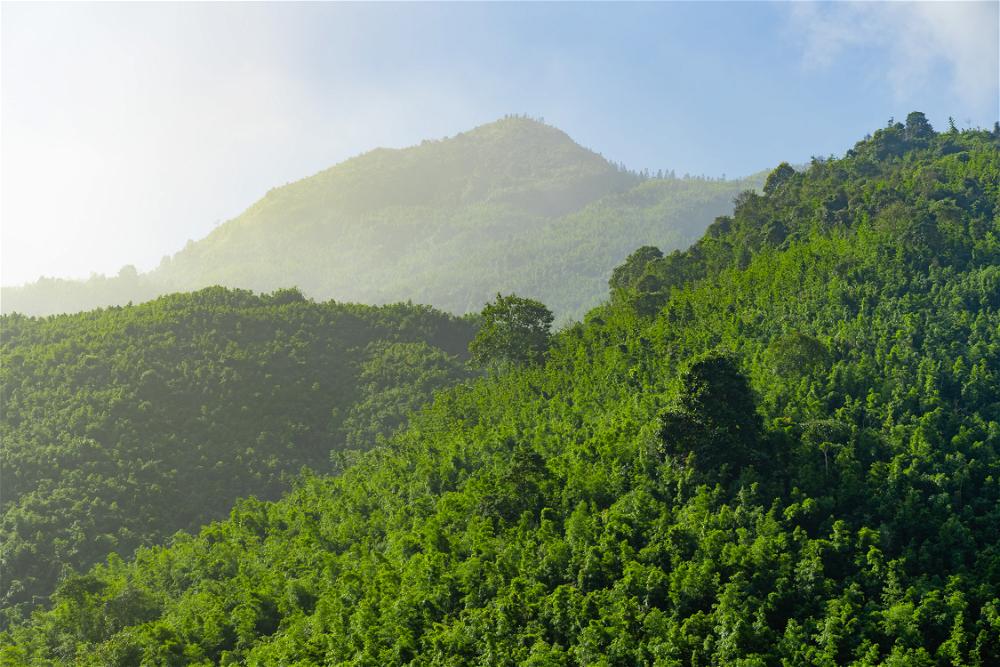 A mountain in Vietnam's Sapa region with green trees in the background.